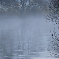 Nebel auf dem Neckar