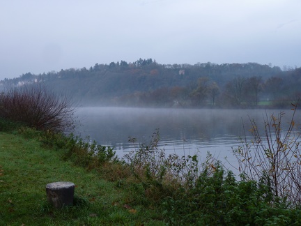 Nebel auf dem Neckar