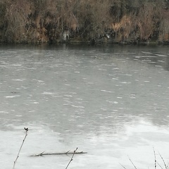 Eis auf dem Steinbruchsee