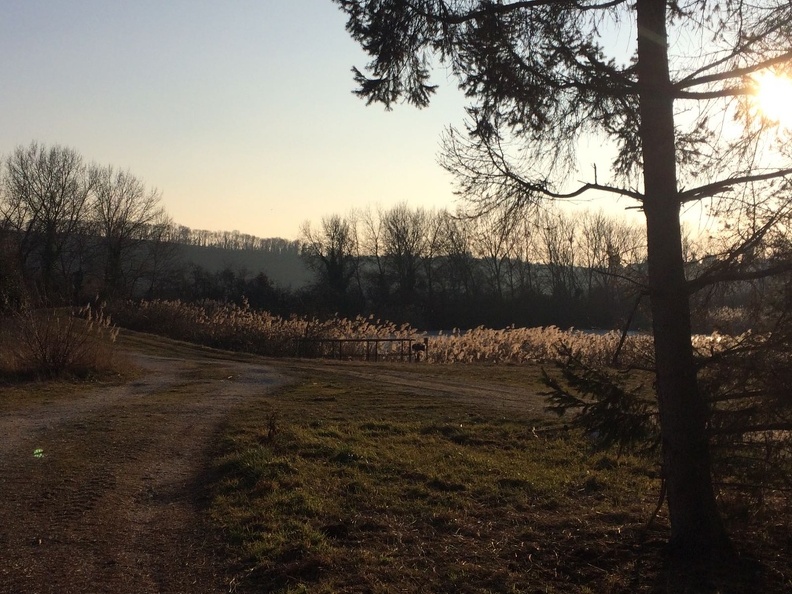 Verbotene Wege - IMG-20170213-WA0002.jpg IMG-20170213-WA0002.jpg