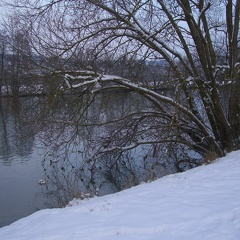 Winter am Neckar