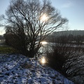Winter am Neckar