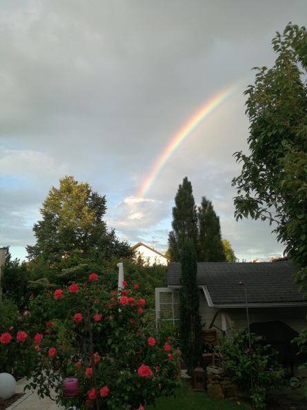 Regenbogen die Dritte - IMG_20170813_200416.jpg IMG_20170813_200416.jpg