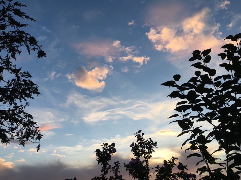 Sonnenuntergang - IMG_1860.JPG IMG_1860.JPG