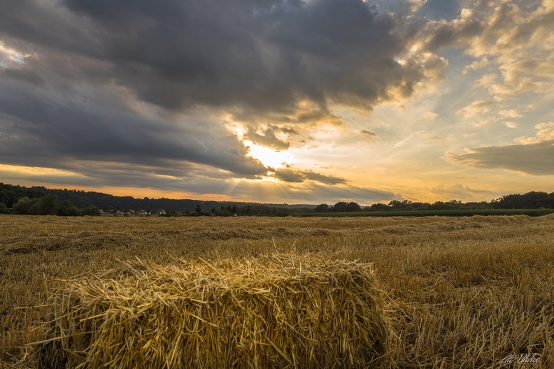 Feld - unbenannt (62 von 1).jpg unbenannt (62 von 1).jpg