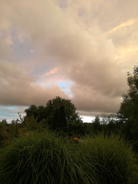 Nach dem Schauer die Vierte :-) - IMG_20170818_202512.jpg IMG_20170818_202512.jpg
