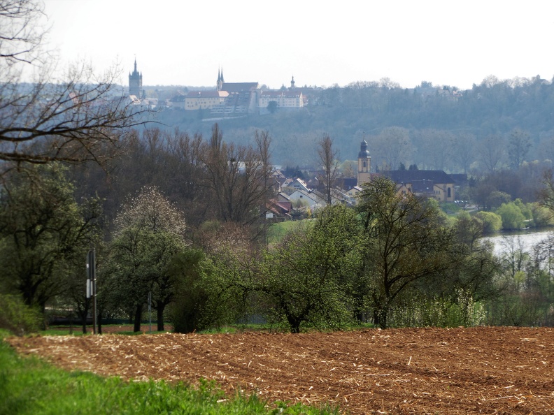 Blick auf Offenau vom Grasberg Frühling 2017 (7).JPG
