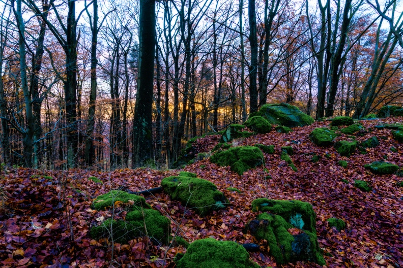Herbst - Bearbeitet (183 von 1).jpg Bearbeitet (183 von 1).jpg